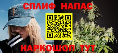 прущие грибы Беслан